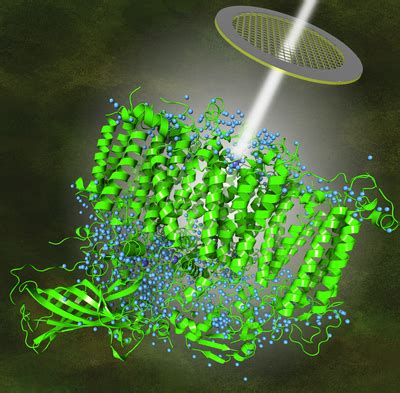 Cryo–electron microscopy reveals hydrogen positions and water .